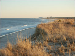 Beach overlooking Rehoboth Beach, Del.