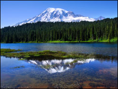Mount Rainier national park