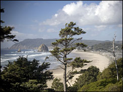 Roadtrip photo from Oregon, United States.