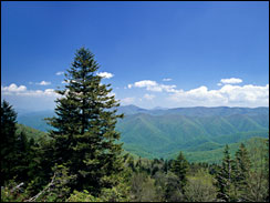The Blue Ridge Mountains in North Carolina really do seem somewhat bluer than 