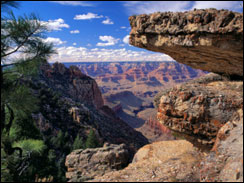 Grand Canyon View Through the Rocks
