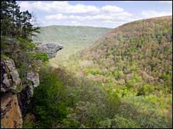 Land feature in the Ozarks known as Hawksbill Crag.