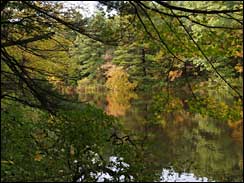 Connecticut fishing hole