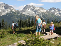 Family hikes in the forest in Alaska