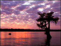Sunset at Lake Martin near Breaux Bridge, Louisiana