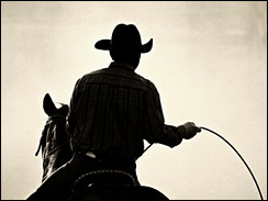 Cowboy at a rodeo