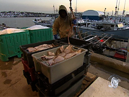 American Fishermen Caught in Net of Regulations